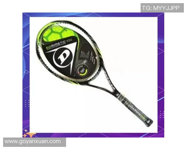 北京网球队技术对比深度解析与发展趋势探讨